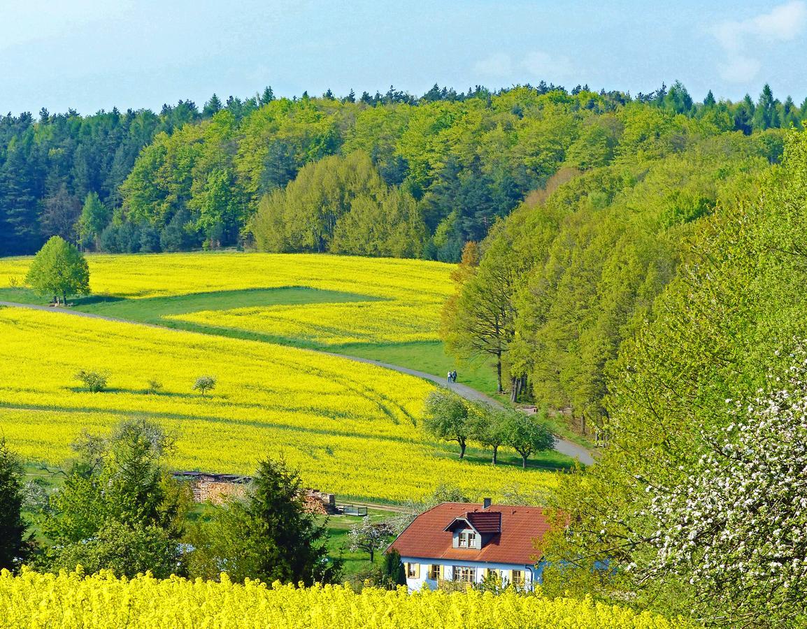 Restaurant Gruener Baum Hotell Leidersbach Exteriör bild